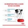 ROYAL CANIN MINI PUPPY ROYAL CANIN MINI PUPPY
