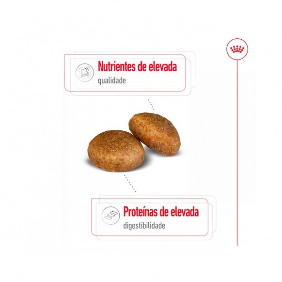 ROYAL CANIN MAXI ADULT