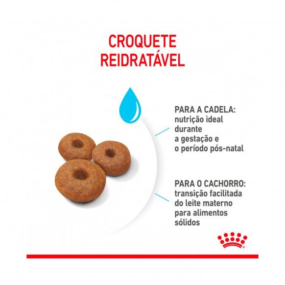 ROYAL CANIN MAXI STARTER M&B