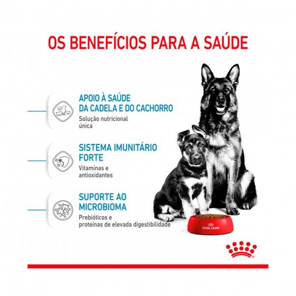 ROYAL CANIN MAXI STARTER M&B