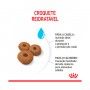 ROYAL CANIN MAXI STARTER M&B ROYAL CANIN MAXI STARTER M&B
