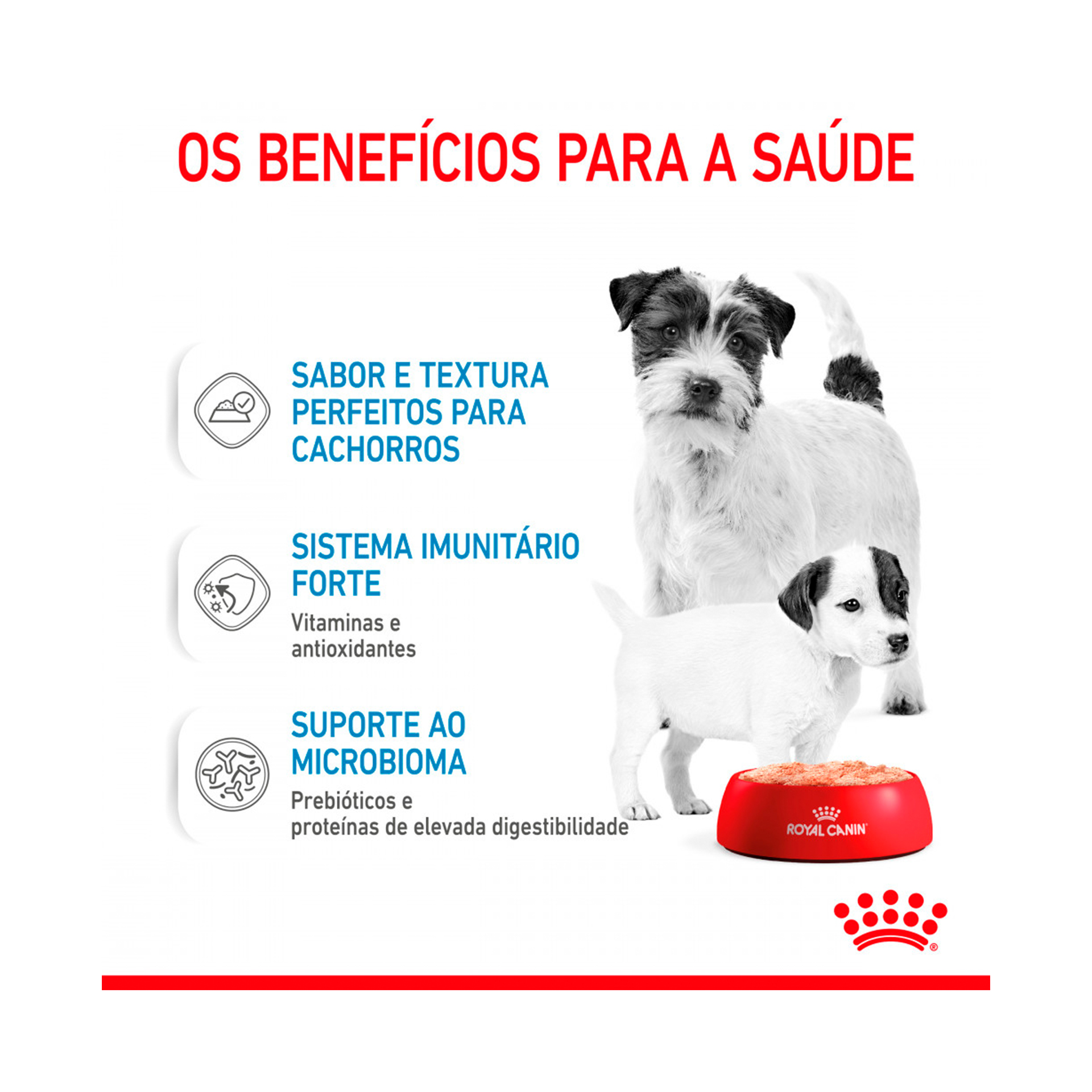 ROYAL CANIN STARTER MOUSSE - 195GR