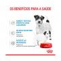ROYAL CANIN STARTER MOUSSE - 195GR ROYAL CANIN STARTER MOUSSE - 195GR
