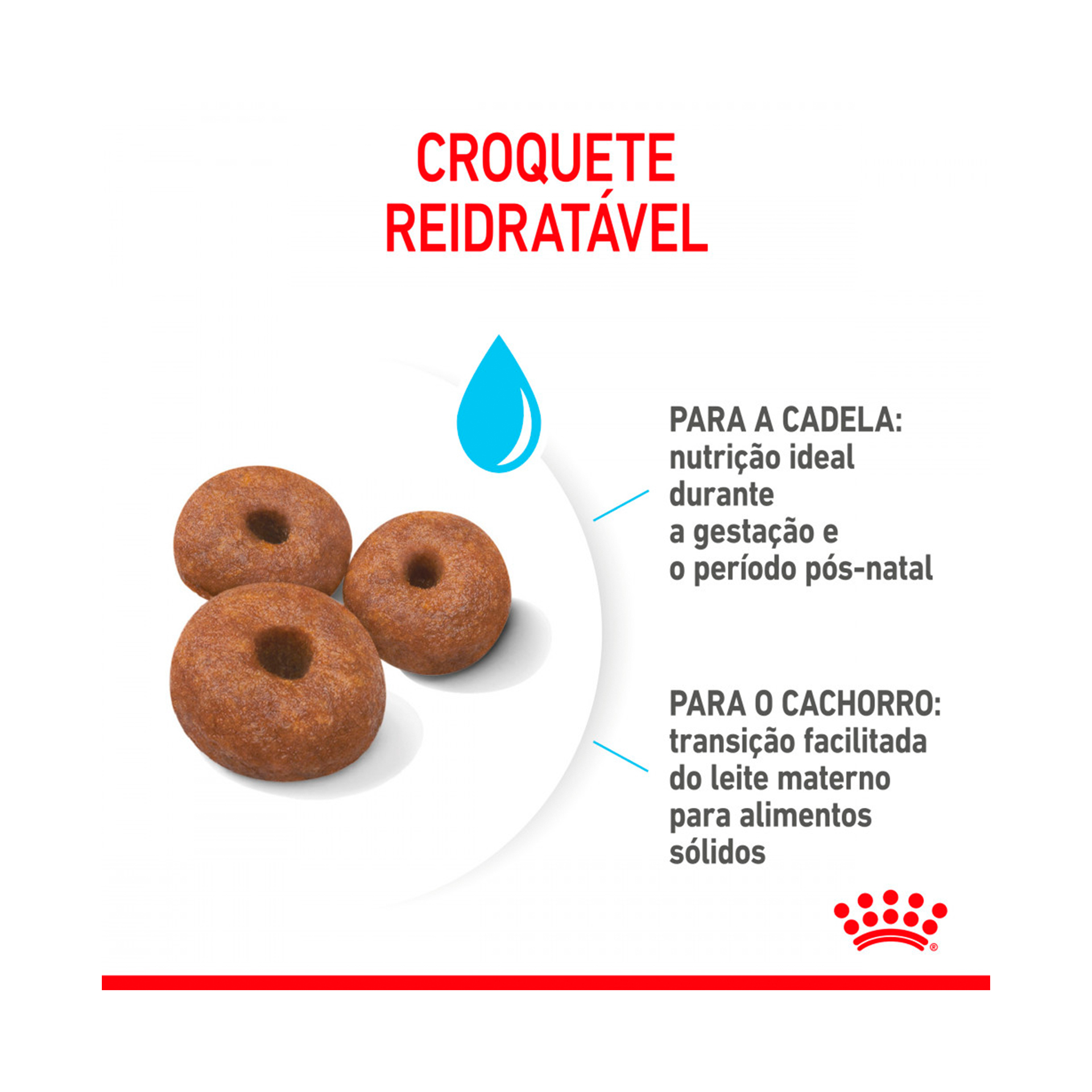 ROYAL CANIN GIANT STARTER M&B - 15KG