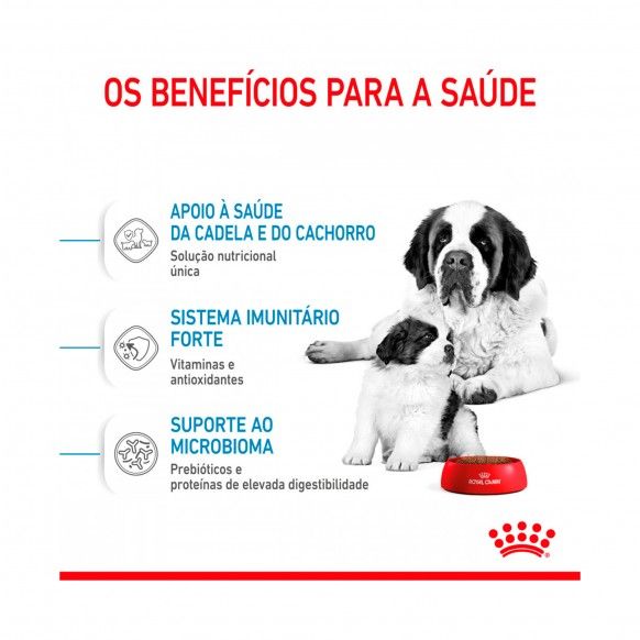 ROYAL CANIN GIANT STARTER M&B - 15KG