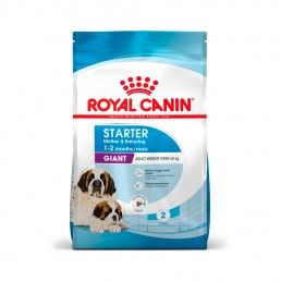 ROYAL CANIN GIANT STARTER M&B - 15KG