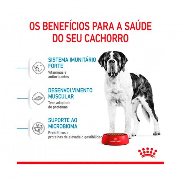 ROYAL CANIN GIANT JUNIOR - 15KG