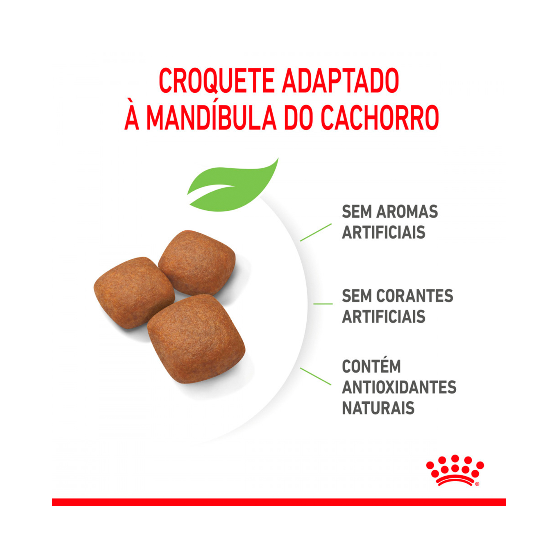 ROYAL CANIN GIANT JUNIOR - 15KG