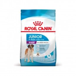 ROYAL CANIN GIANT JUNIOR - 15KG
