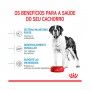 ROYAL CANIN GIANT JUNIOR - 15KG ROYAL CANIN GIANT JUNIOR - 15KG