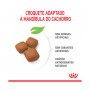 ROYAL CANIN GIANT JUNIOR - 15KG ROYAL CANIN GIANT JUNIOR - 15KG