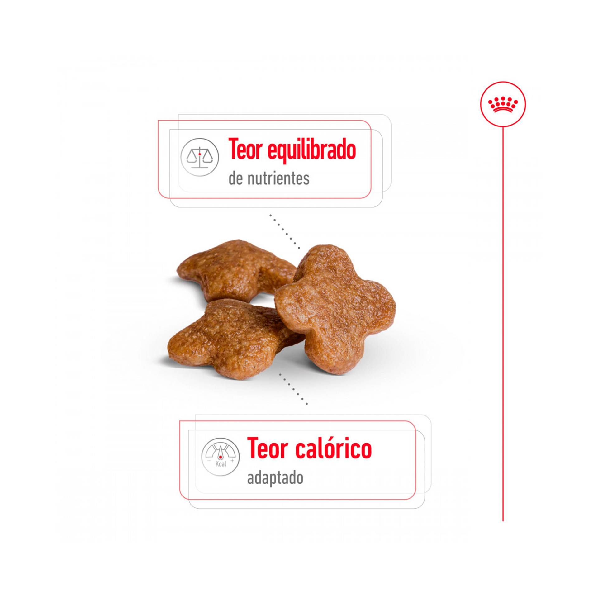 ROYAL CANIN MINI ADULT +8 - 2KG