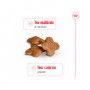 ROYAL CANIN MINI ADULT +8 - 2KG