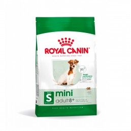 ROYAL CANIN MINI ADULT +8 - 2KG