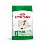 ROYAL CANIN MINI ADULT +8 - 2KG