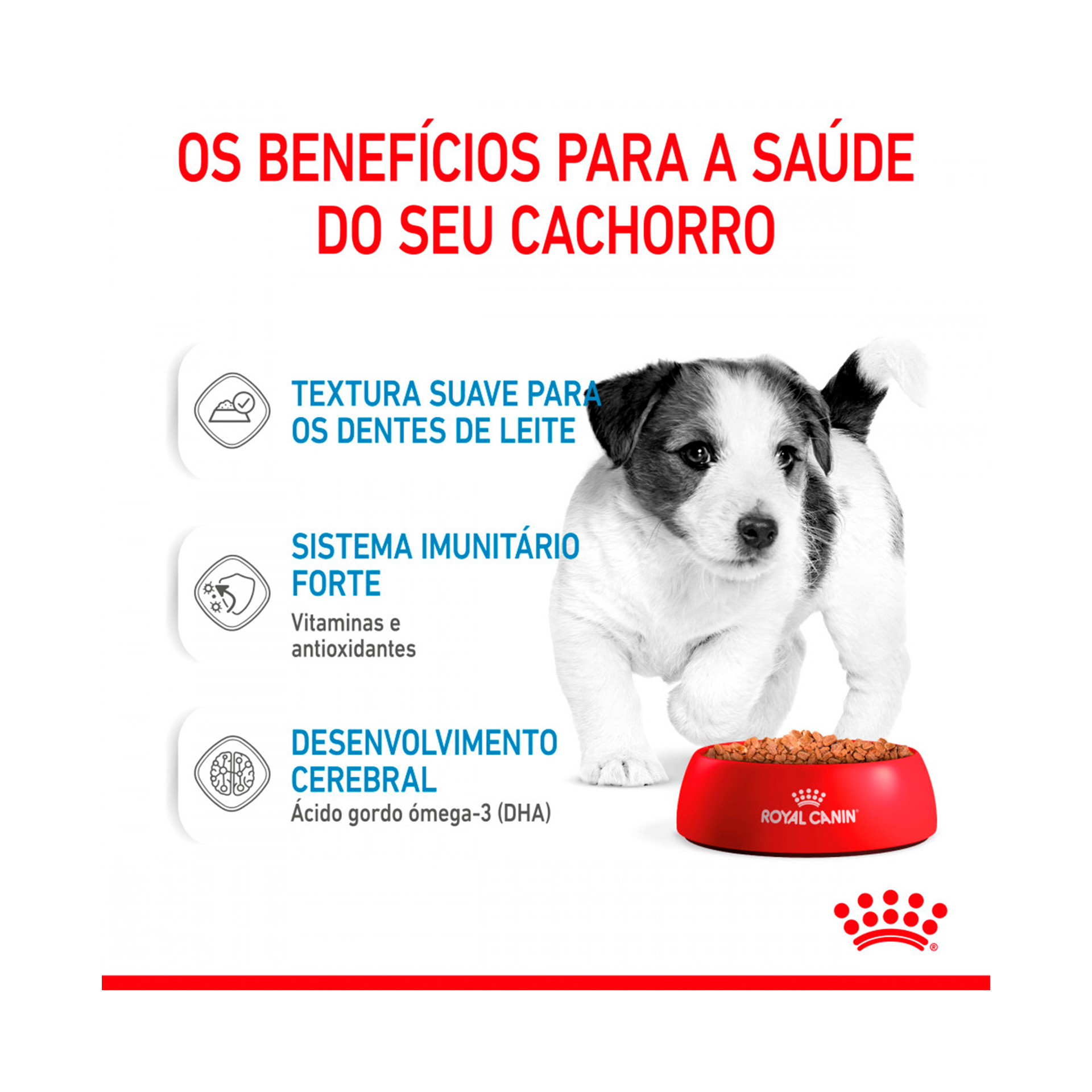 ROYAL CANIN MINI PUPPY - 85GR