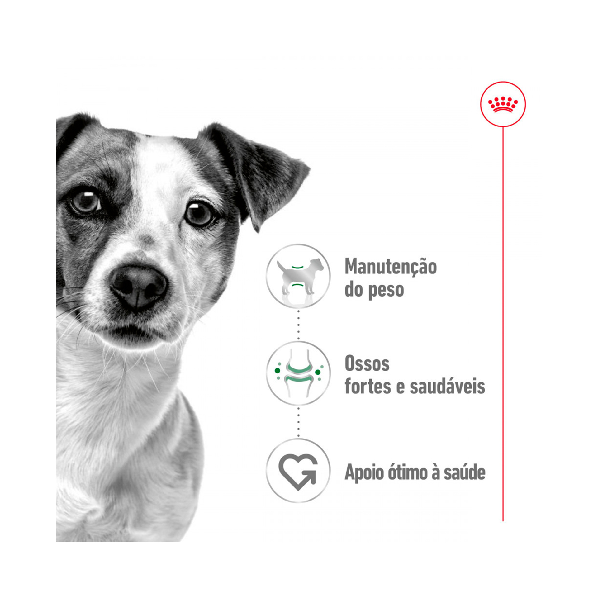 ROYAL CANIN MINI ADULT - 85GR