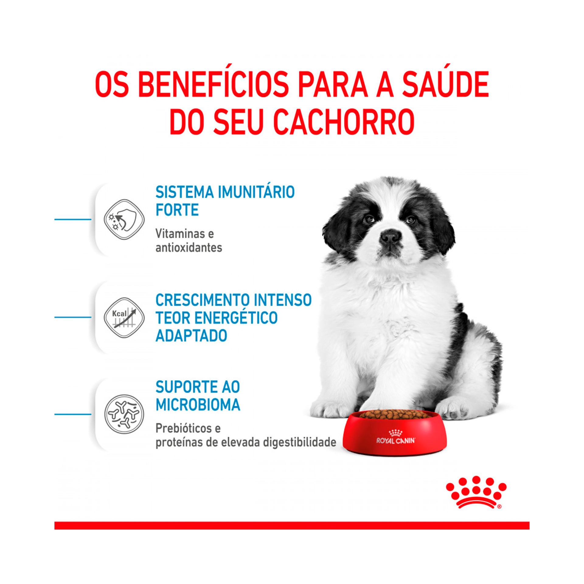 ROYAL CANIN GIANT PUPPY - 15KG