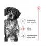 ROYAL CANIN MEDIUM AGEING 140GR