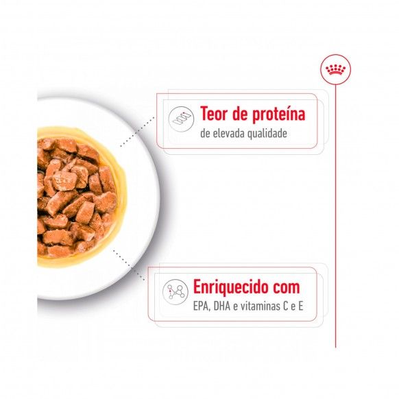 ROYAL CANIN MEDIUM AGEING 140GR