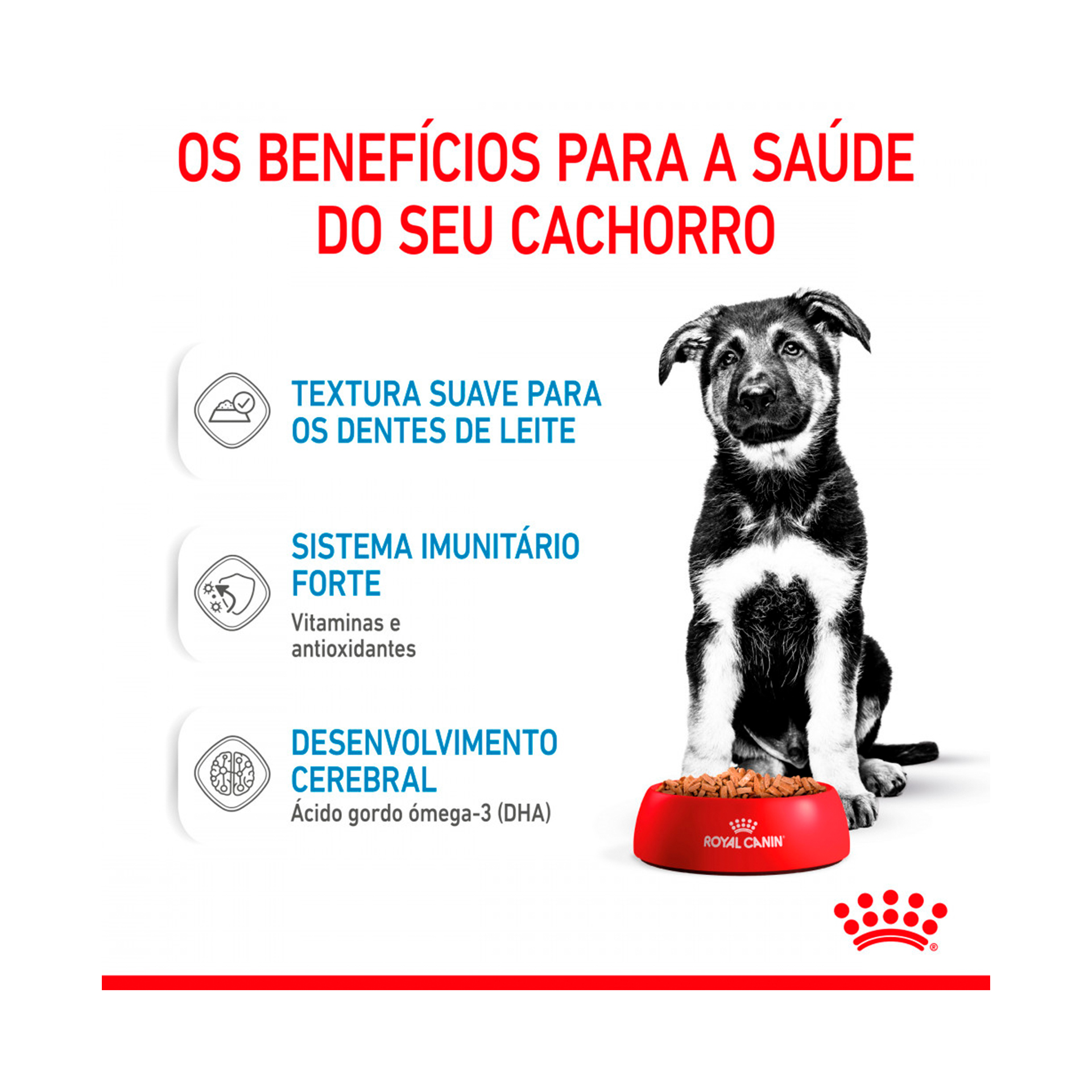 ROYAL CANIN MAXI PUPPY - 140GR