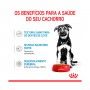 ROYAL CANIN MAXI PUPPY - 140GR ROYAL CANIN MAXI PUPPY - 140GR