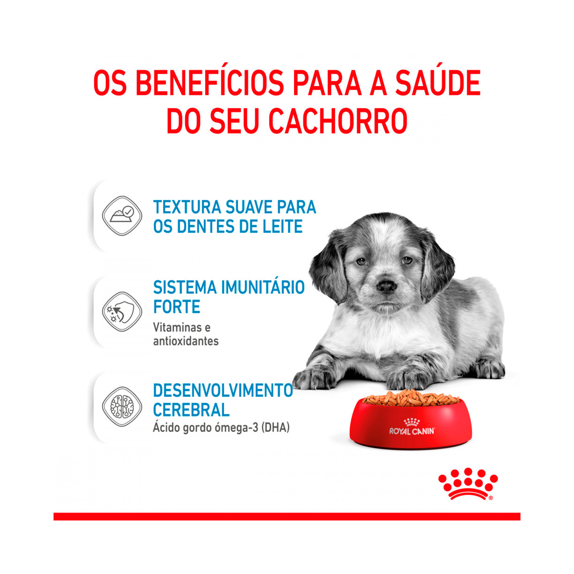 ROYAL CANIN MEDIUM PUPPY - 140GR