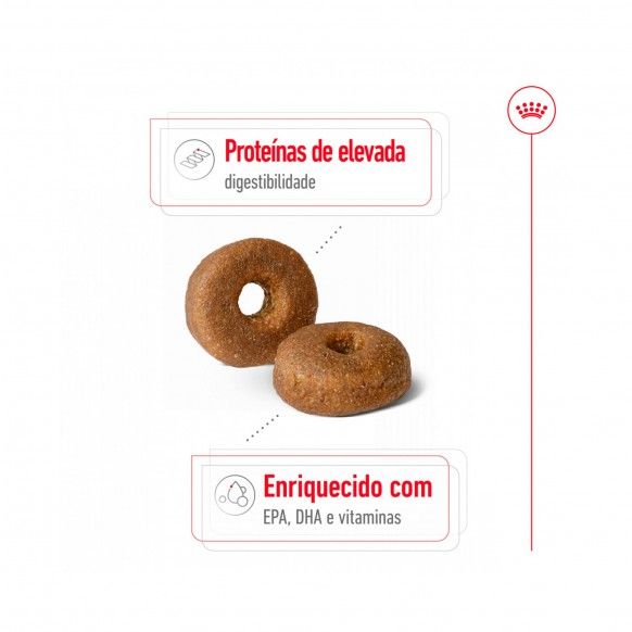 ROYAL CANIN MAXI AGEING +8 - 15KG