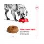 ROYAL CANIN MAXI AGEING +8 - 15KG ROYAL CANIN MAXI AGEING +8 - 15KG