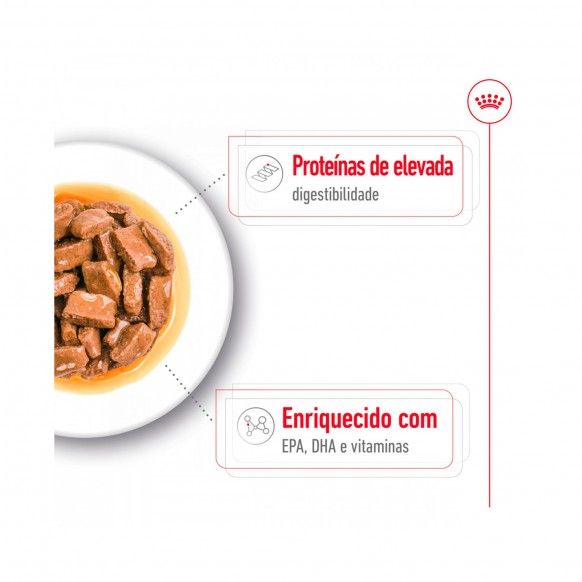 CHN MAXI AGEING - 140GR