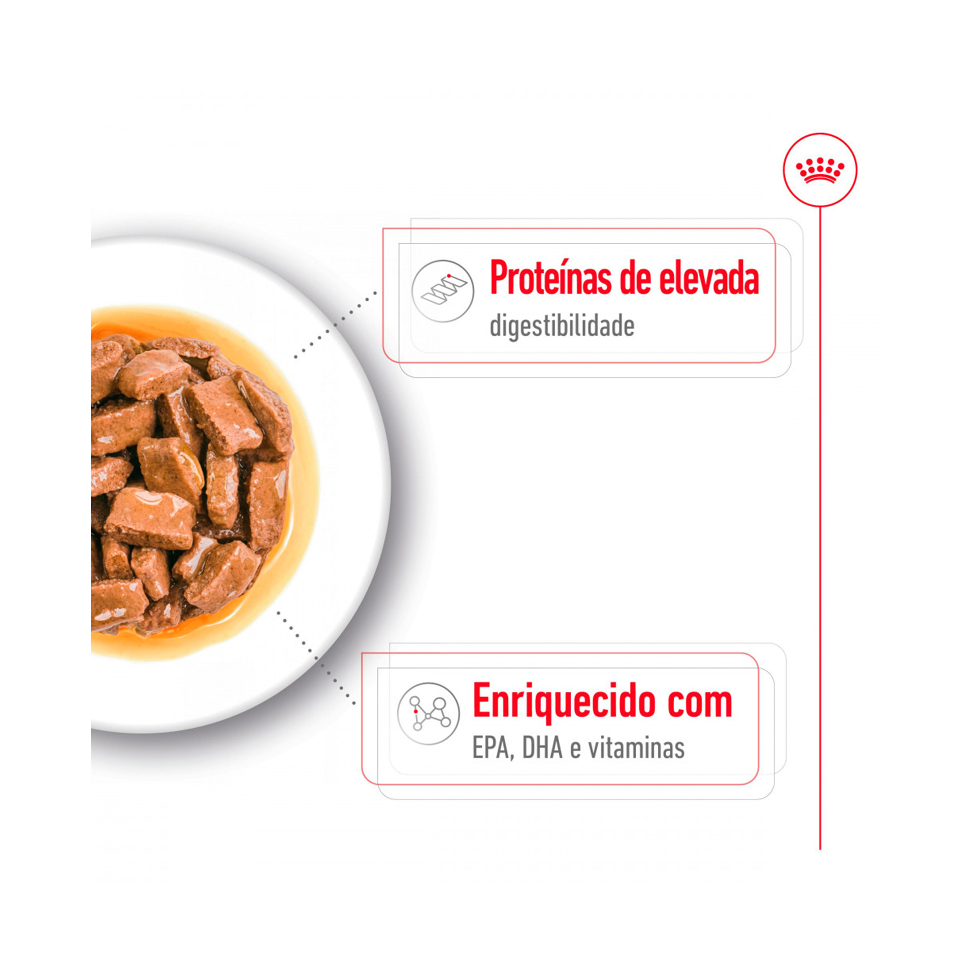 ROYAL CANIN MAXI AGEING - 140GR