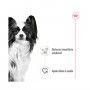 ROYAL CANIN XSMALL ADULT - 85GR ROYAL CANIN XSMALL ADULT - 85GR