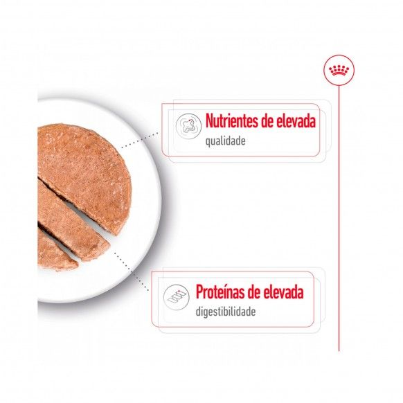 ROYAL CANIN MAXI ADULT - 410GR