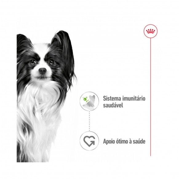 ROYAL CANIN XSMALL ADULT - 85GR