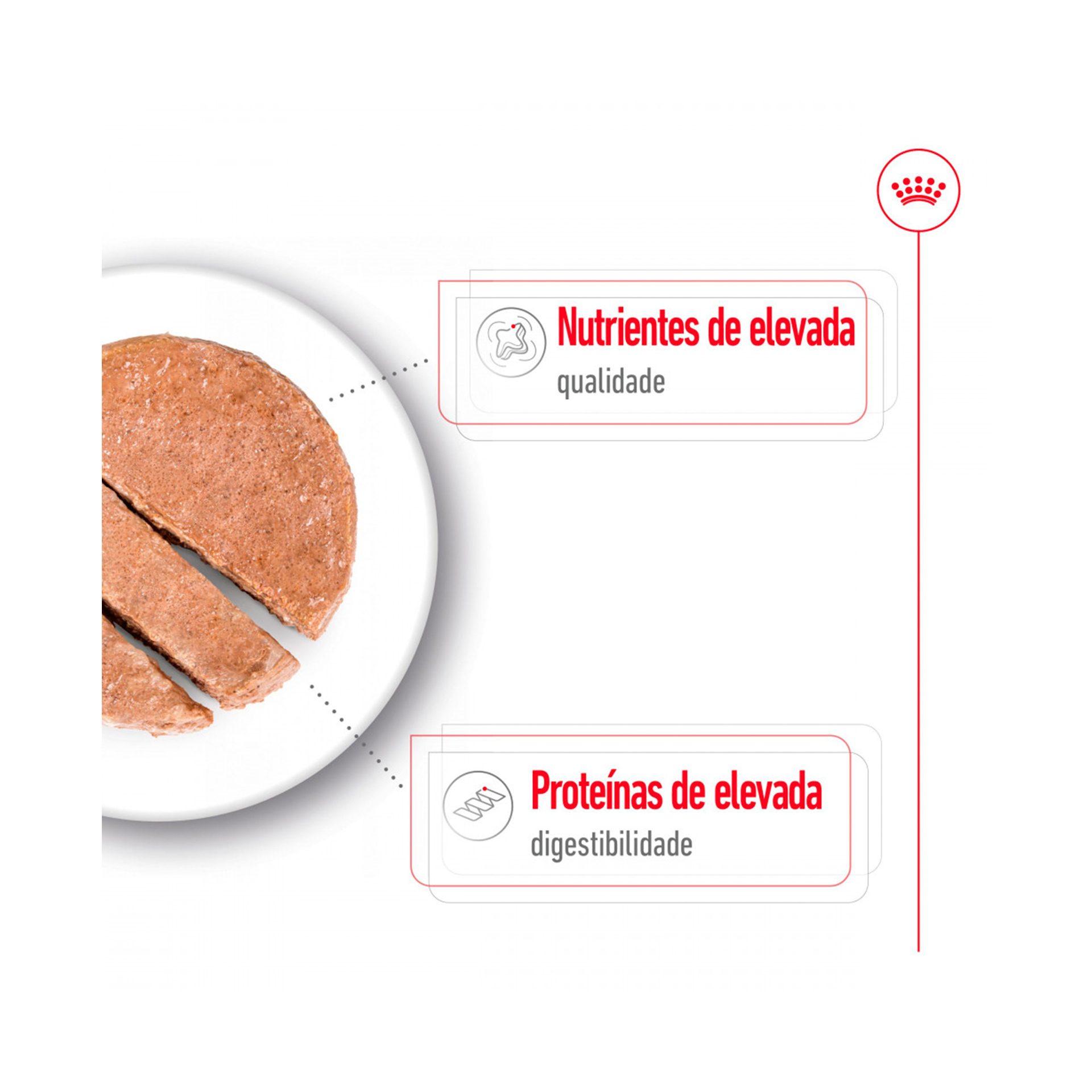 ROYAL CANIN MAXI ADULT - 410GR
