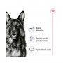 ROYAL CANIN MAXI ADULT - 410GR