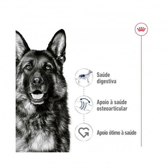 ROYAL CANIN MAXI ADULT - 410GR