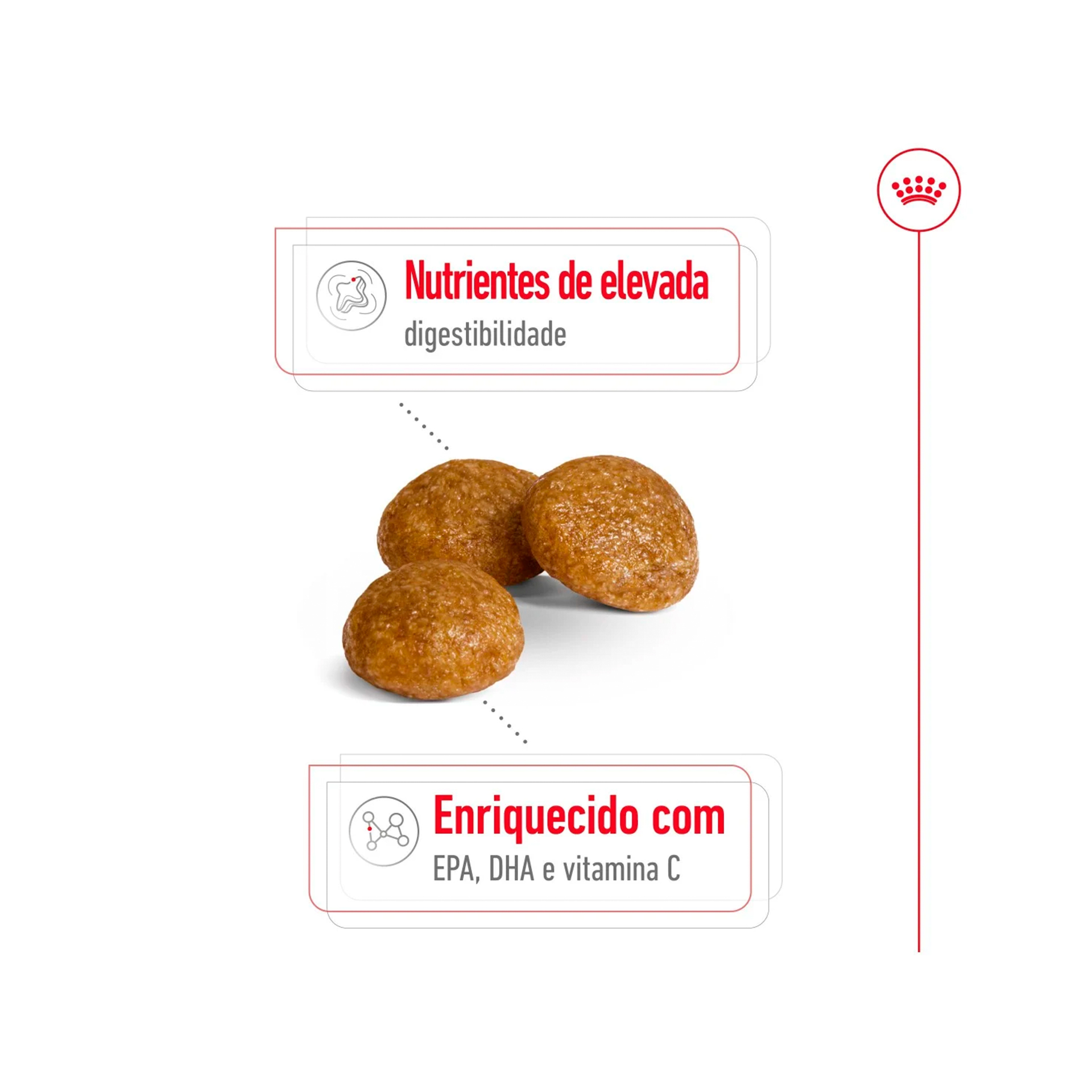 ROYAL CANIN XSMALL ADULT
