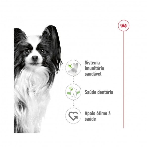 ROYAL CANIN XSMALL ADULT