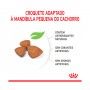 ROYAL CANIN XSMALL PUPPY - 500GR ROYAL CANIN XSMALL PUPPY - 500GR