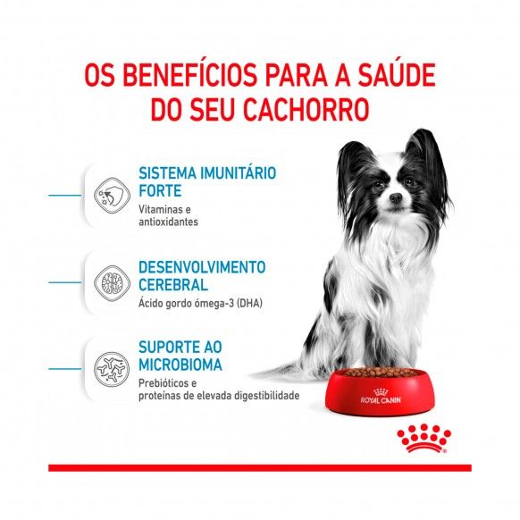 ROYAL CANIN XSMALL PUPPY - 500GR