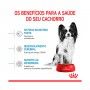 ROYAL CANIN XSMALL PUPPY - 500GR ROYAL CANIN XSMALL PUPPY - 500GR