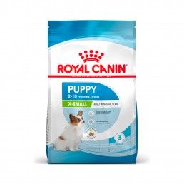ROYAL CANIN XSMALL PUPPY - 500GR