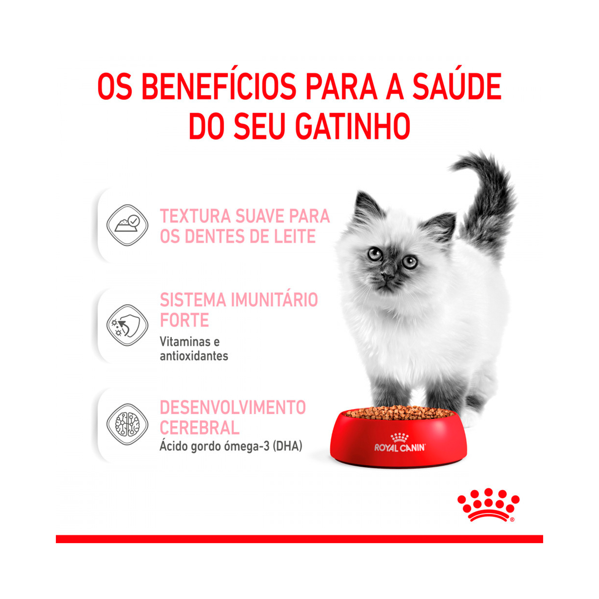 ROYAL CANIN KITTEN - 85GR