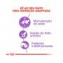 ROYAL CANIN STERILISED - 85GR ROYAL CANIN STERILISED - 85GR