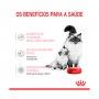 ROYAL CANIN MOTHER & BABYCAT - 195G ROYAL CANIN MOTHER & BABYCAT - 195G