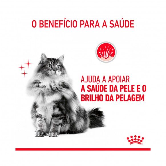 ROYAL CANIN INTENSE BEAUTY - 85GR