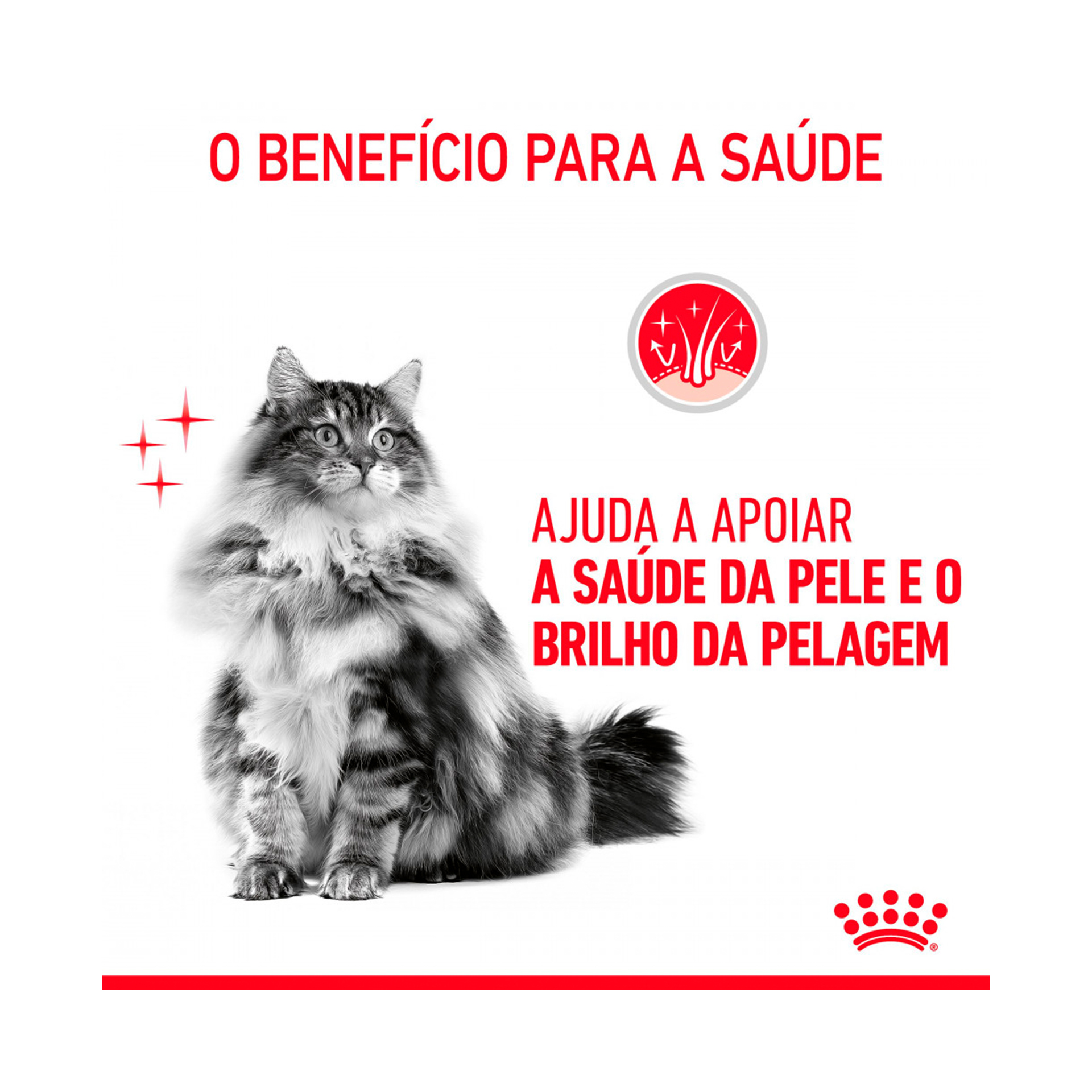 ROYAL CANIN INTENSE BEAUTY - 85GR