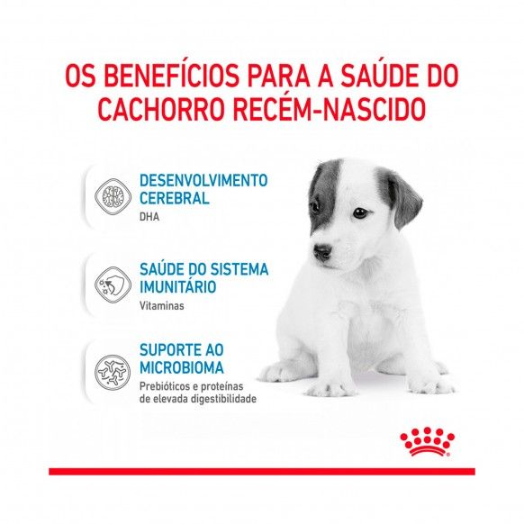 ROYAL CANIN BABYDOG MILK - 400GR
