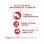 ROYAL CANIN INSTINCTIVE JELLY - 85GR ROYAL CANIN INSTINCTIVE JELLY - 85GR